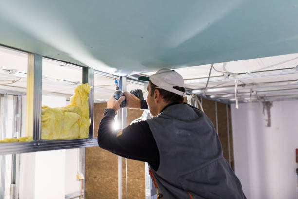 Best Home Insulation Services  in Lincolnton, GA