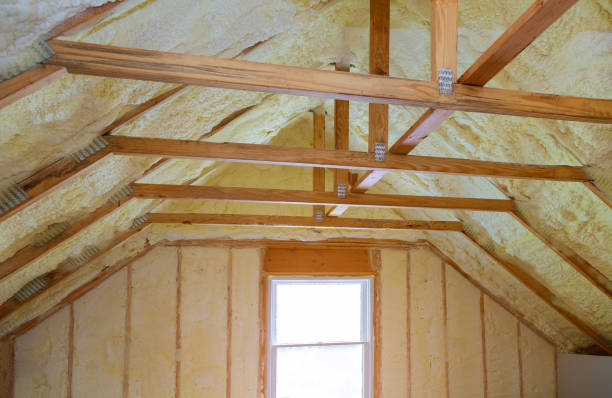 Best Professional Insulation Contractor  in Lincolnton, GA
