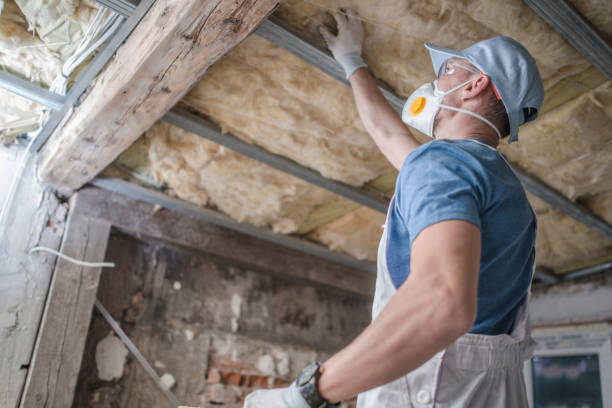 Best Energy-efficient Insulation  in Lincolnton, GA
