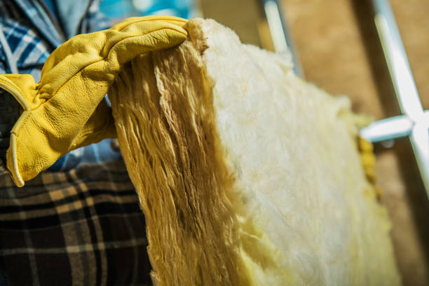 Best Cellulose Insulation  in Lincolnton, GA