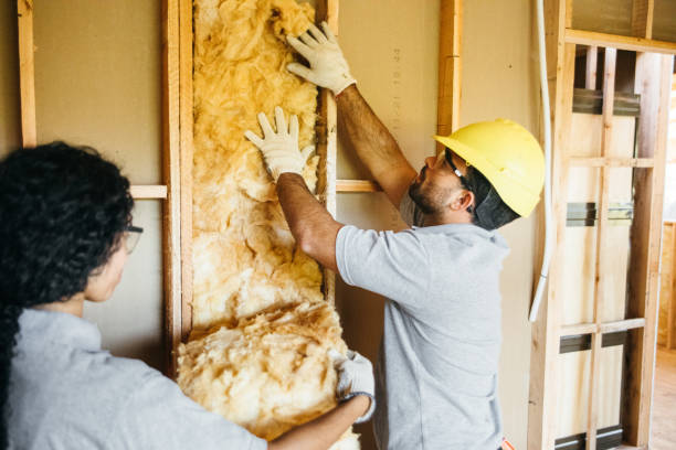 Best Insulation Installation Cost  in Lincolnton, GA