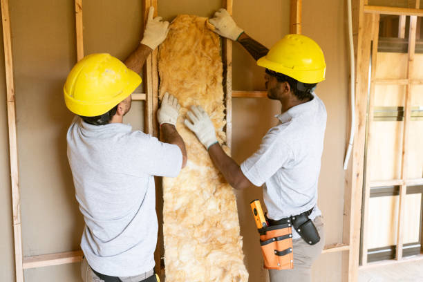 Best Insulation Repair Services  in Lincolnton, GA
