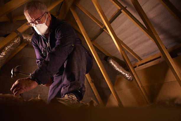 Best Energy-efficient Insulation  in Lincolnton, GA
